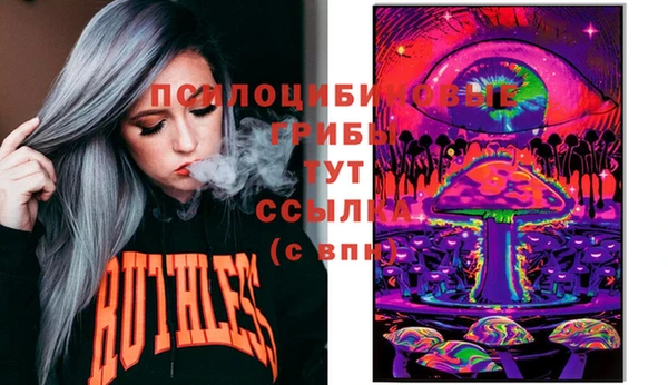 мяу мяу кристалл Гусь-Хрустальный