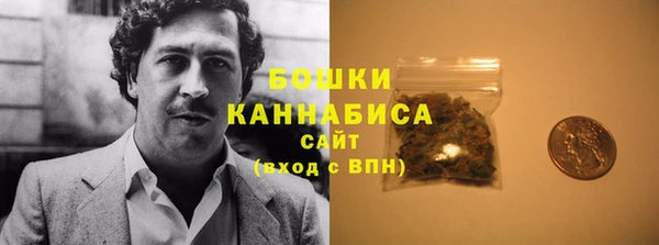 мяу мяу кристалл Гусь-Хрустальный