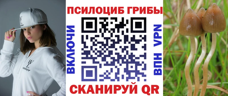 Галлюциногенные грибы мицелий  Купить где  Азнакаево 